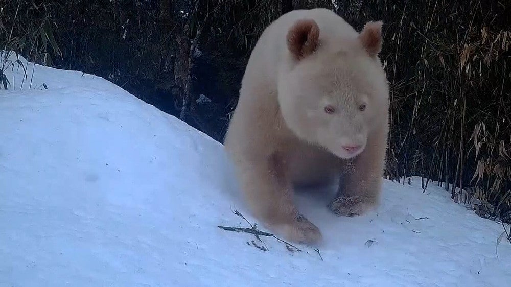 20230601-OYT1I50164-1.jpg?type