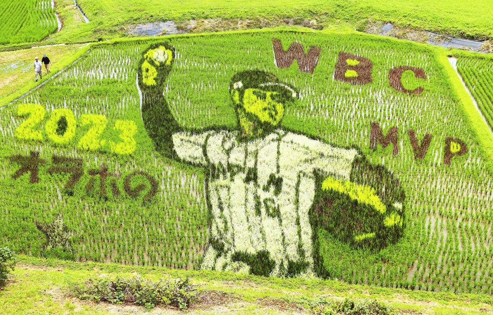 大谷翔平選手、地元・奥州市で田んぼアートに…ダイナミックなフォーム
