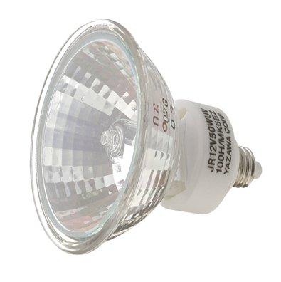 エコクールハロゲン中角50W｜YAZAWA CORPORATION