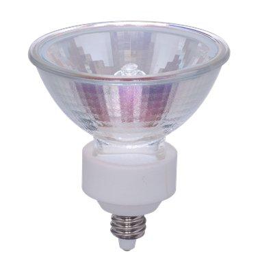 エコクールハロゲンシャイン50W形中角｜YAZAWA CORPORATION