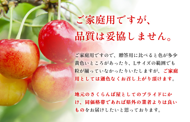 さくらんぼの珍果林 佐藤錦の激安通販
