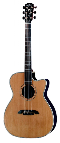 WY-1｜製品紹介｜Yairi Guitar ヤイリギター