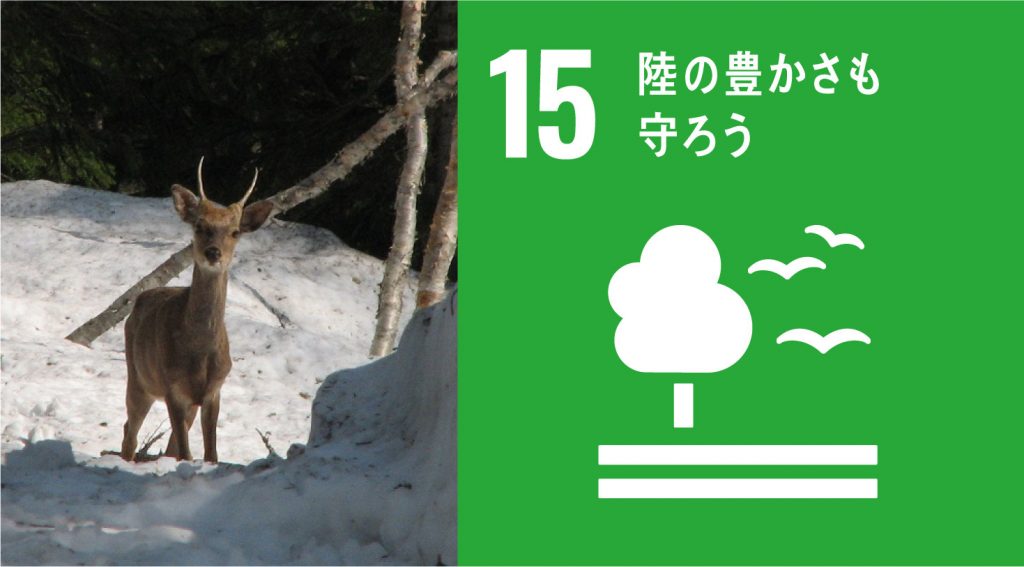 尾瀬で駆除される鹿の問題を解決するため「おぜしかプロジェクト」と村