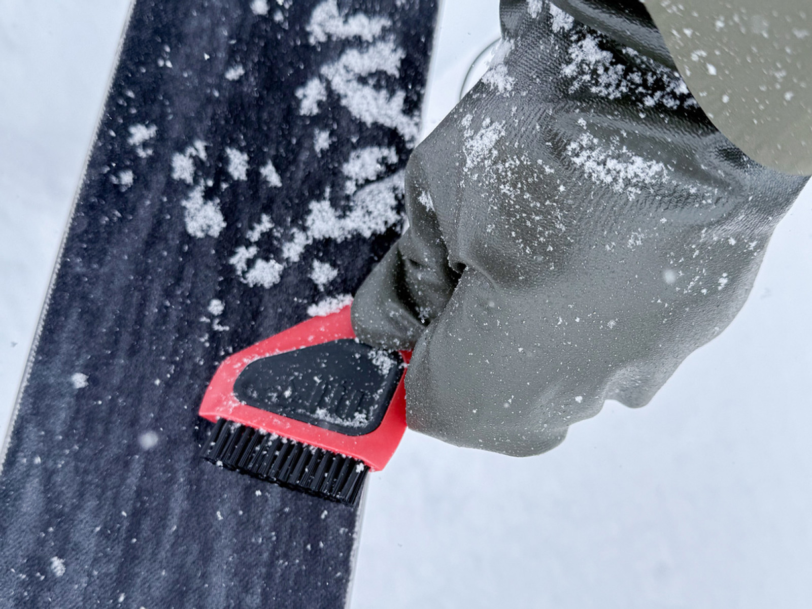 梅雨に山で、ひそかに咲くバイカツツジ。美しい花なのに登山者に知られ