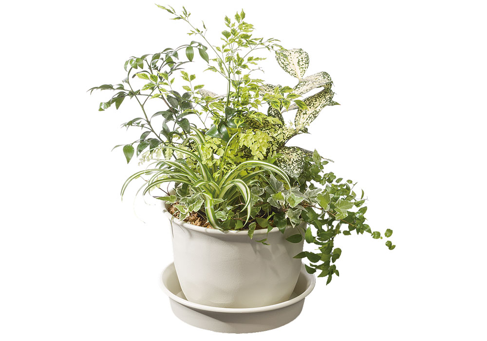 ノーミィプレート - 大和プラスチック株式会社