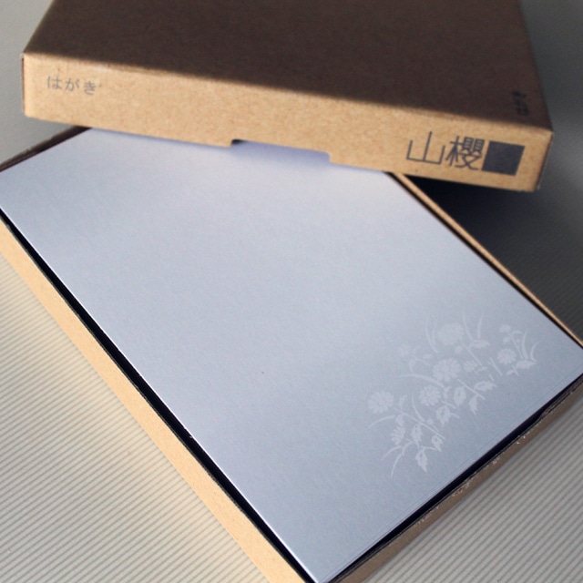 山櫻喪中はがき №7171 野辺菊（薄口） CoC 〒グレイ枠入 ☆: 慶弔用