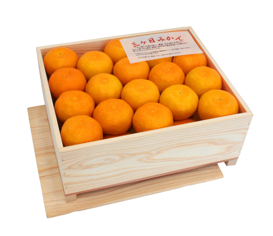 年内届け【青島】三ヶ日みかん 手詰め木箱入 – 八百久青果ネットショップ