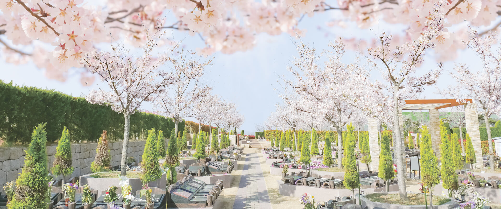 キャンペーン・見学会｜供養にまつわる総合企業 霊園・墓石のヤシロ