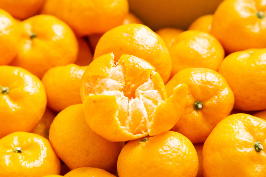 みかん類（3品種）の品種一覧 - 果樹苗木の生産・販売 株式会社吉岡