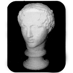 石膏デッサン 頭像 パルテノン (ラボルト) | ゆめ画材