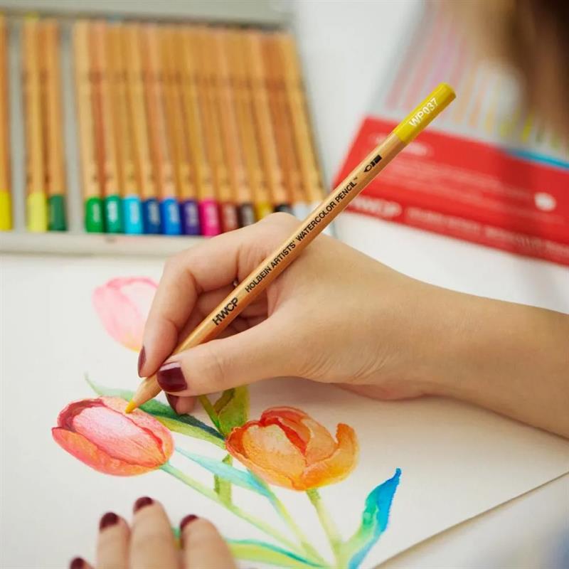 ホルベイン 水彩色鉛筆 WP195 50色セット | ゆめ画材