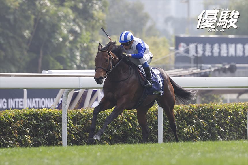 年度代表馬のタイトルを 視野に入れた安田記念制覇 | ロードカナロア