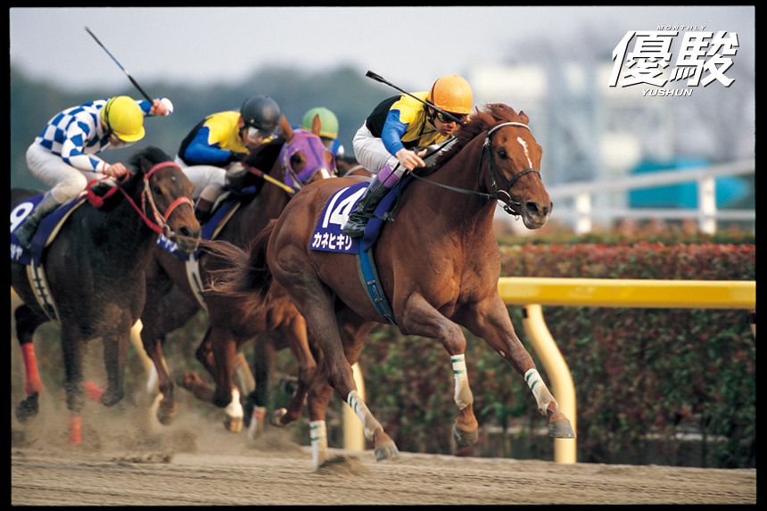 二度頂点を極めたダート王者 不屈のカネヒキリ | カネヒキリ | 優駿 WEB