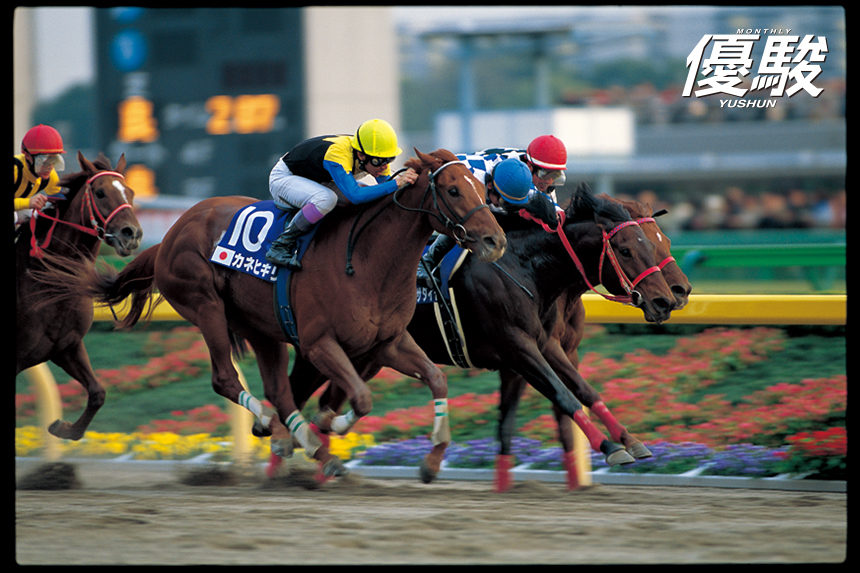 まねき馬 カネヒキリ 砂王 カネヒキリ｜歴代最強馬｜不屈のダート王