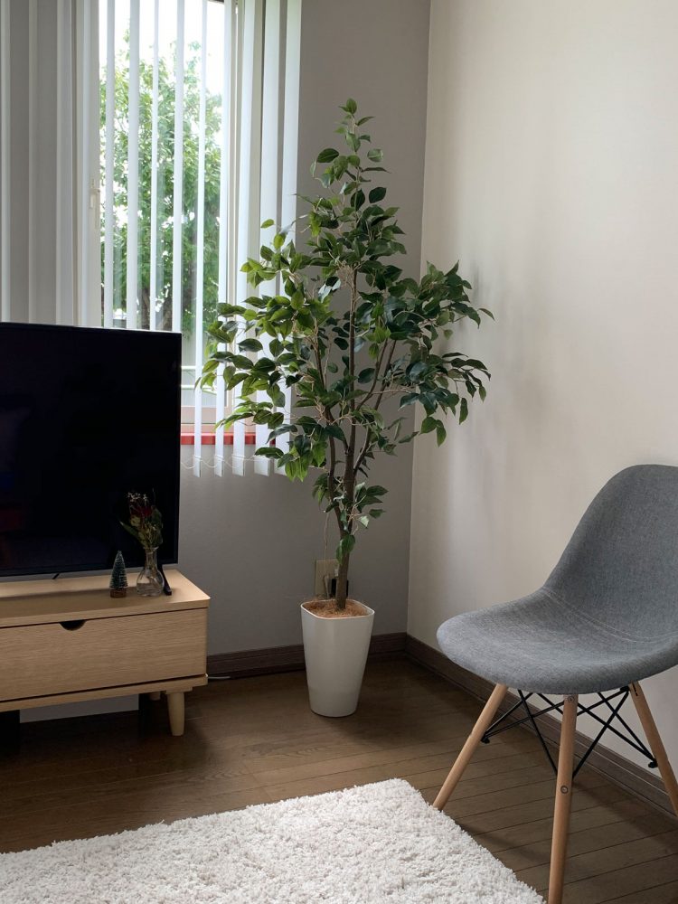 はじめて買う、リビングにおすすめのフェイクグリーン！ | コラム