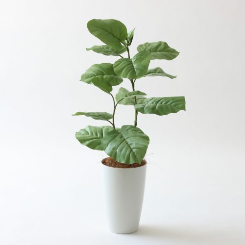 No9276 プレミアム光触媒フェイクグリーン 「繊細な葉の重なり × 自然