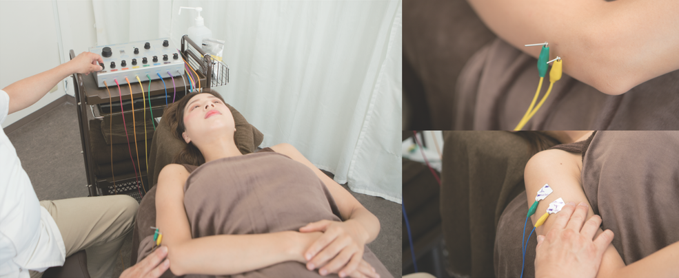 オームパルサー 鍼電極低周波治療器 Ohm Pulser LFP-4800 | 全医療器