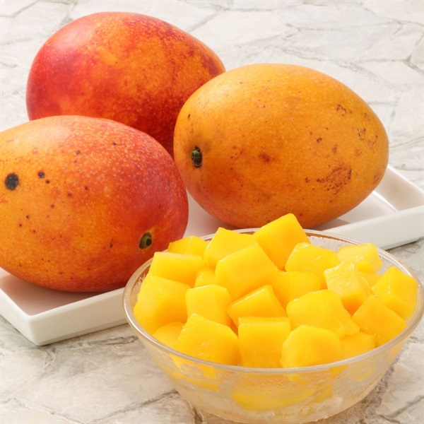 お買い得マンゴー 8月上旬発送開始 | 全農食品オンラインショップ