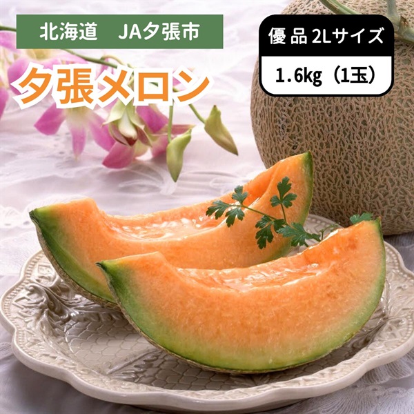 夕張メロン優品 2Lサイズ 1玉 6月下旬発送開始 | 全農食品オンライン