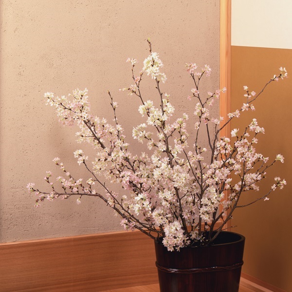 みちのく初桜（啓翁桜）80cm×7本 | 全農食品オンラインショップ