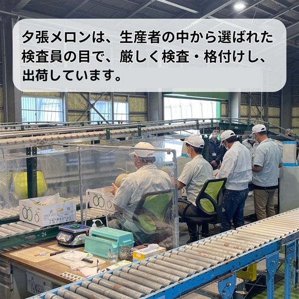 夕張メロン優品 2Lサイズ 1玉 6月下旬発送開始 | 全農食品オンライン