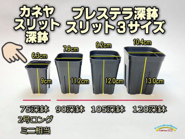 スリット深鉢75(2号ロング相当)：カネヤスリットポット、小さいサイズ