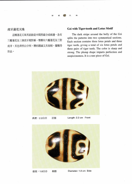 水蓮花天珠（睡蓮花）蓮花天珠の意味効果効能、組み合わせについて