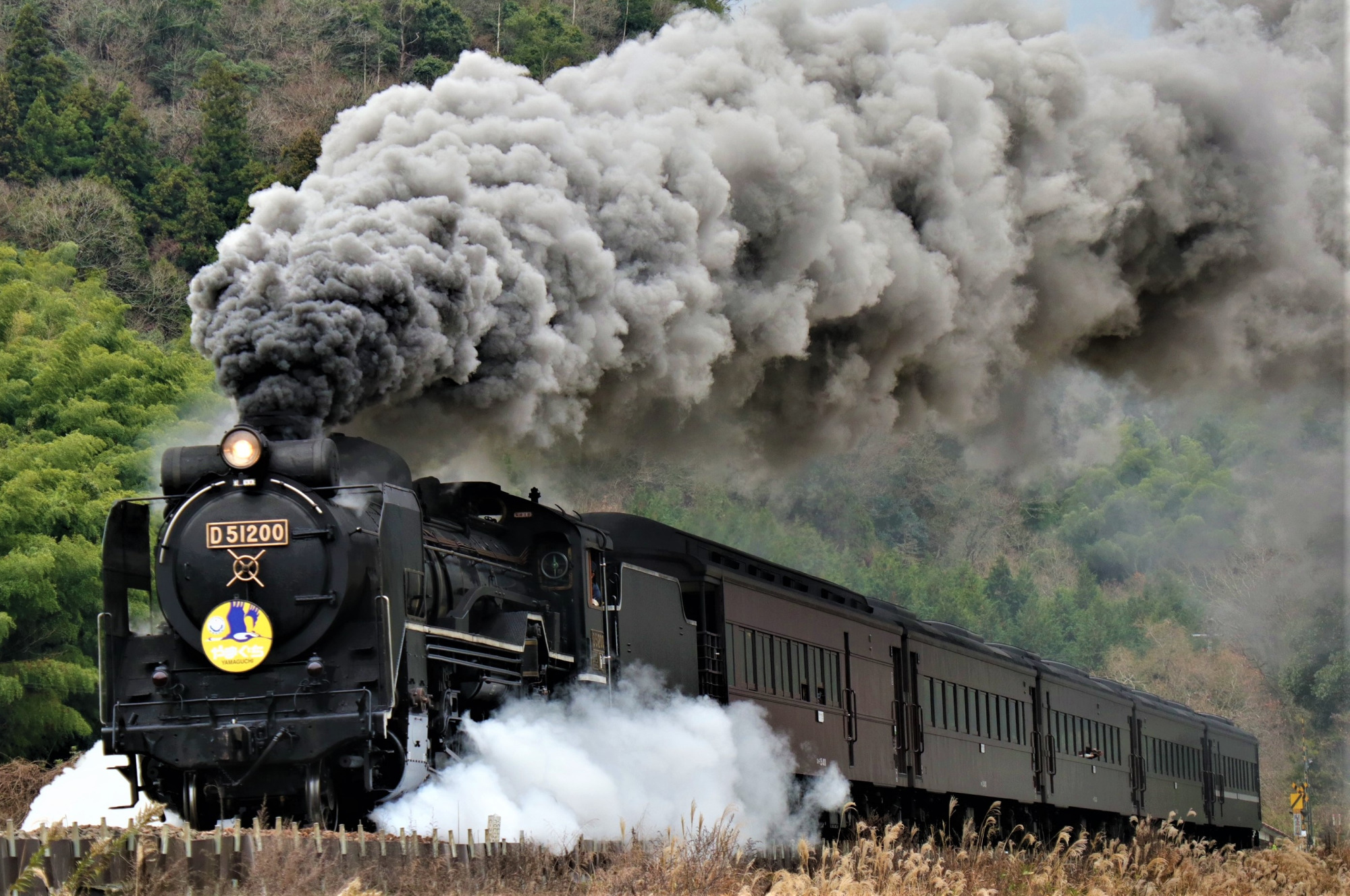2026年SLやまぐち号復活！運転日・車内の楽しみ方・撮影スポットもご