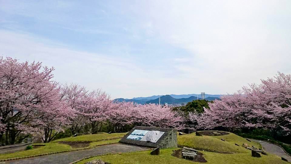 朝田墳墓群｜観光スポット｜【公式】山口県観光/旅行サイト おいでませ