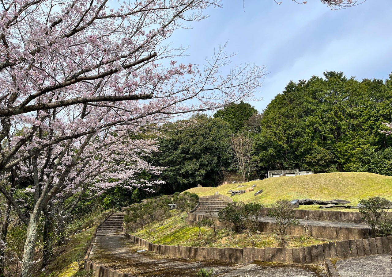 朝田墳墓群｜観光スポット｜【公式】山口県観光/旅行サイト おいでませ