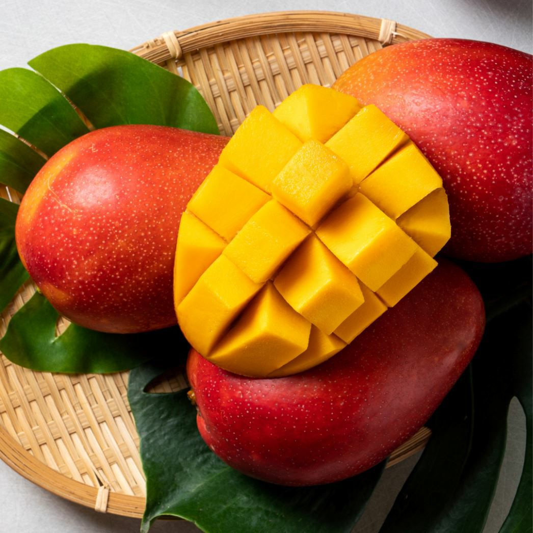 000000000398-01-m.jpg?t=