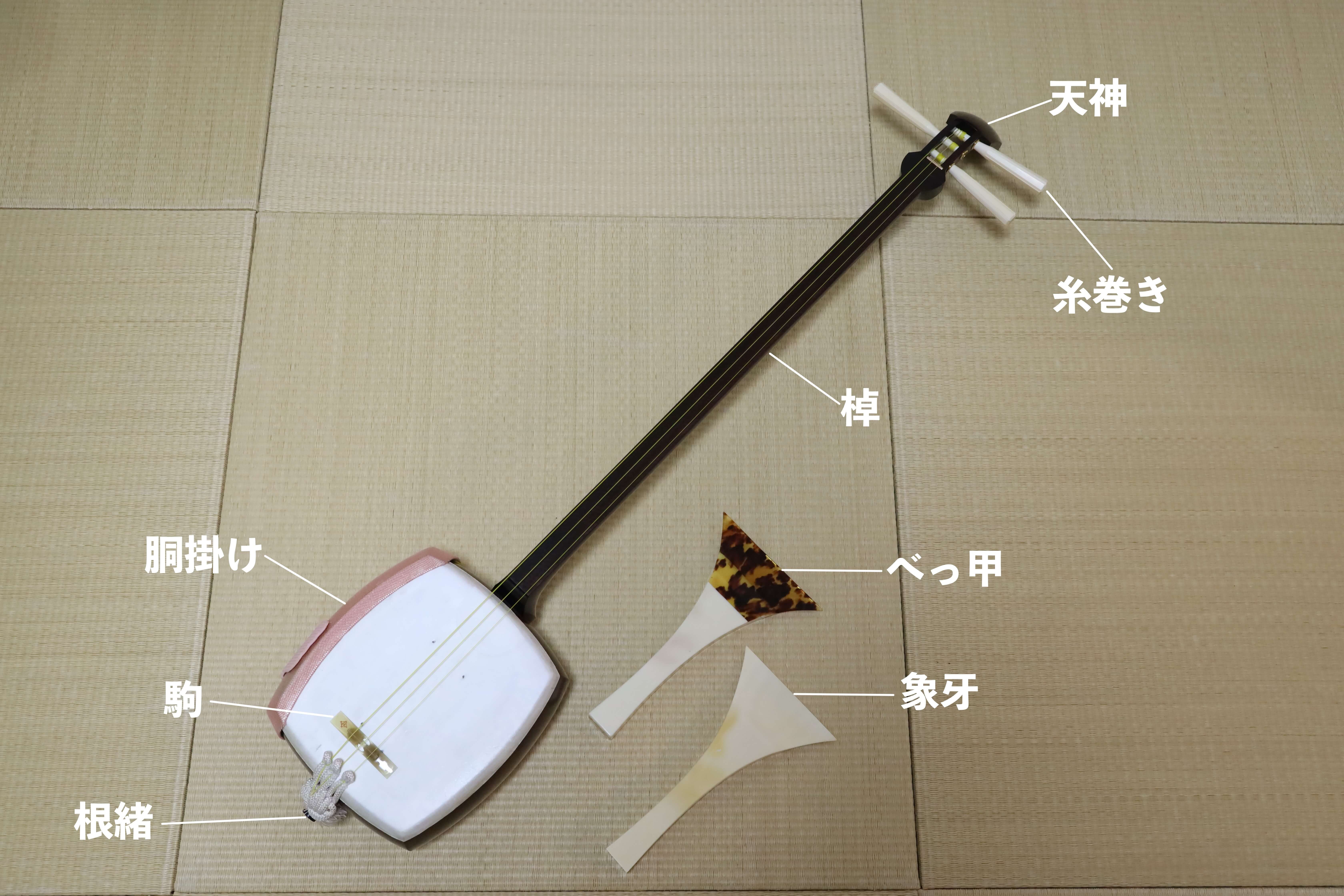 三味線について〜種類や特徴〜 – 箏曲演奏家 福田恭子