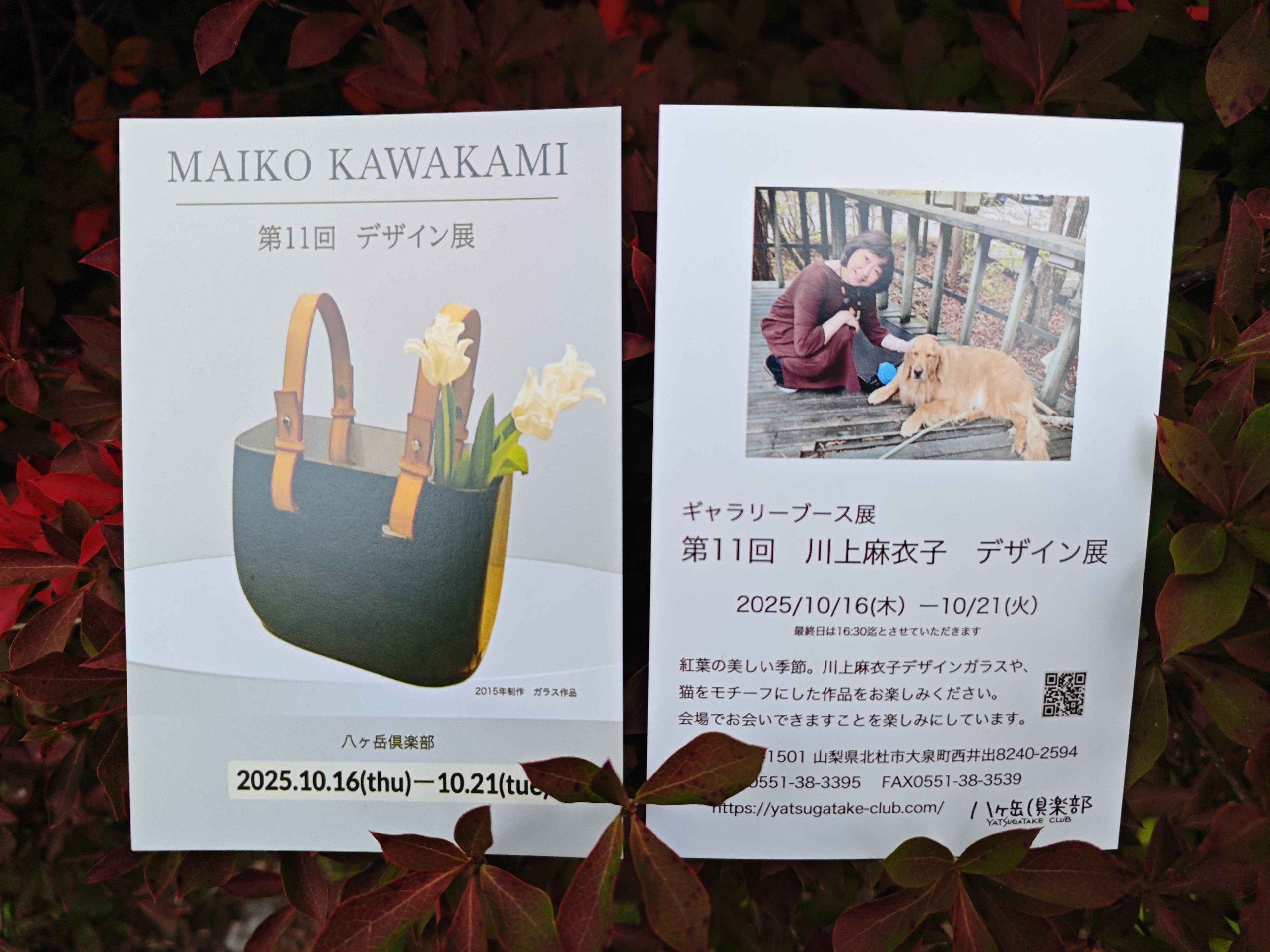 川上麻衣子 デザイン展 - 八ヶ岳倶楽部