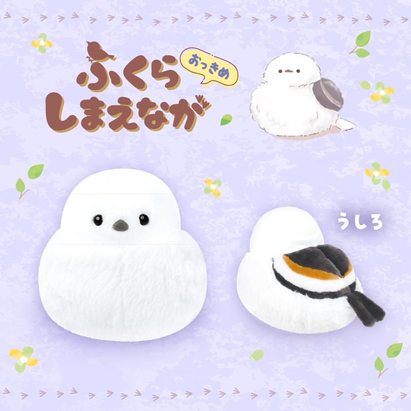 ふくらしまえなが おっきめ | Yell World｜エールワールド