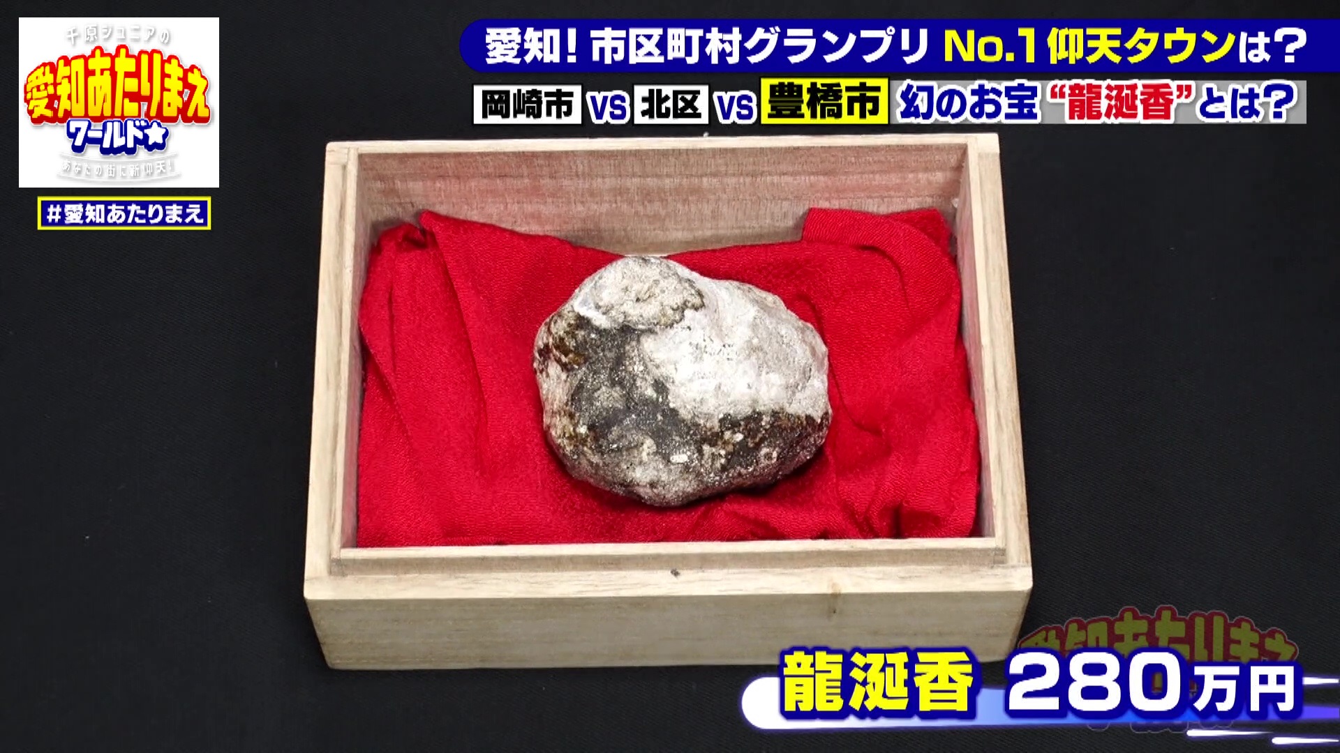 渥美半島の海岸で「龍涎香」を探す！ 数百万円の値がつくことも 鑑定士