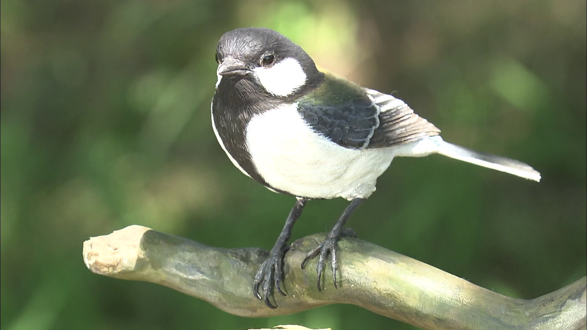 リアルすぎる鳥の彫刻！ 木を彫って鳥を作る「バードカービング」の