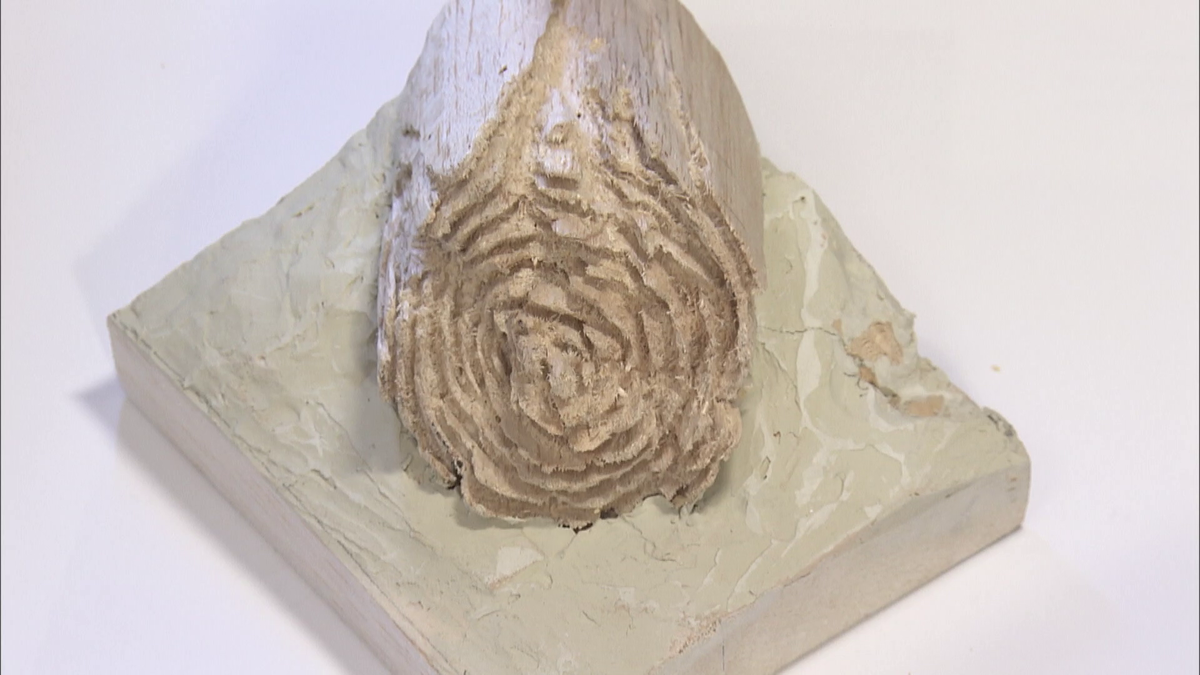 リアルすぎる鳥の彫刻！ 木を彫って鳥を作る「バードカービング」の