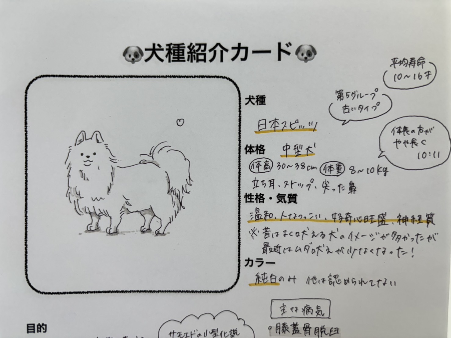 1年生｜愛玩動物学🐩犬種紹介カードを作成📚 - 吉田学園動物看護専門学校