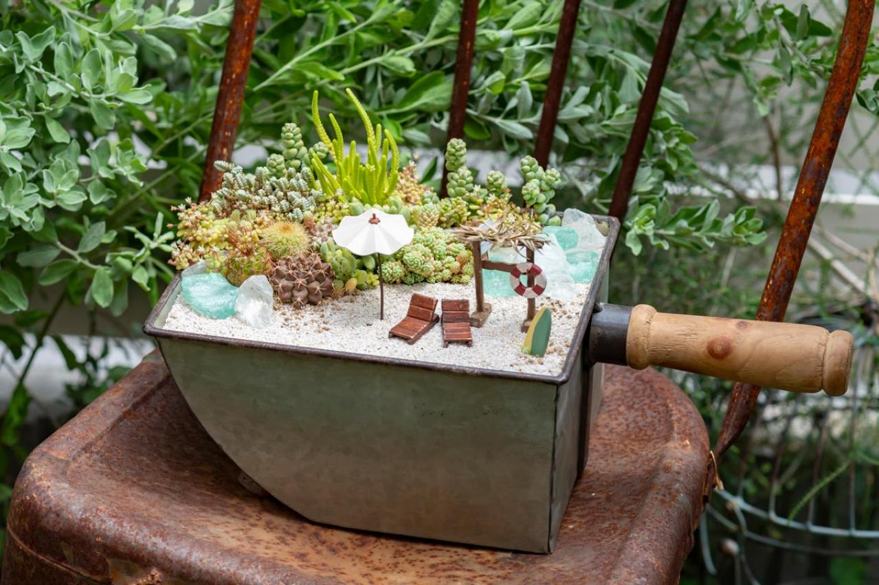 ガーデニング】kurumiさんが提案！夏でも楽しめるサボテン・多肉植物の