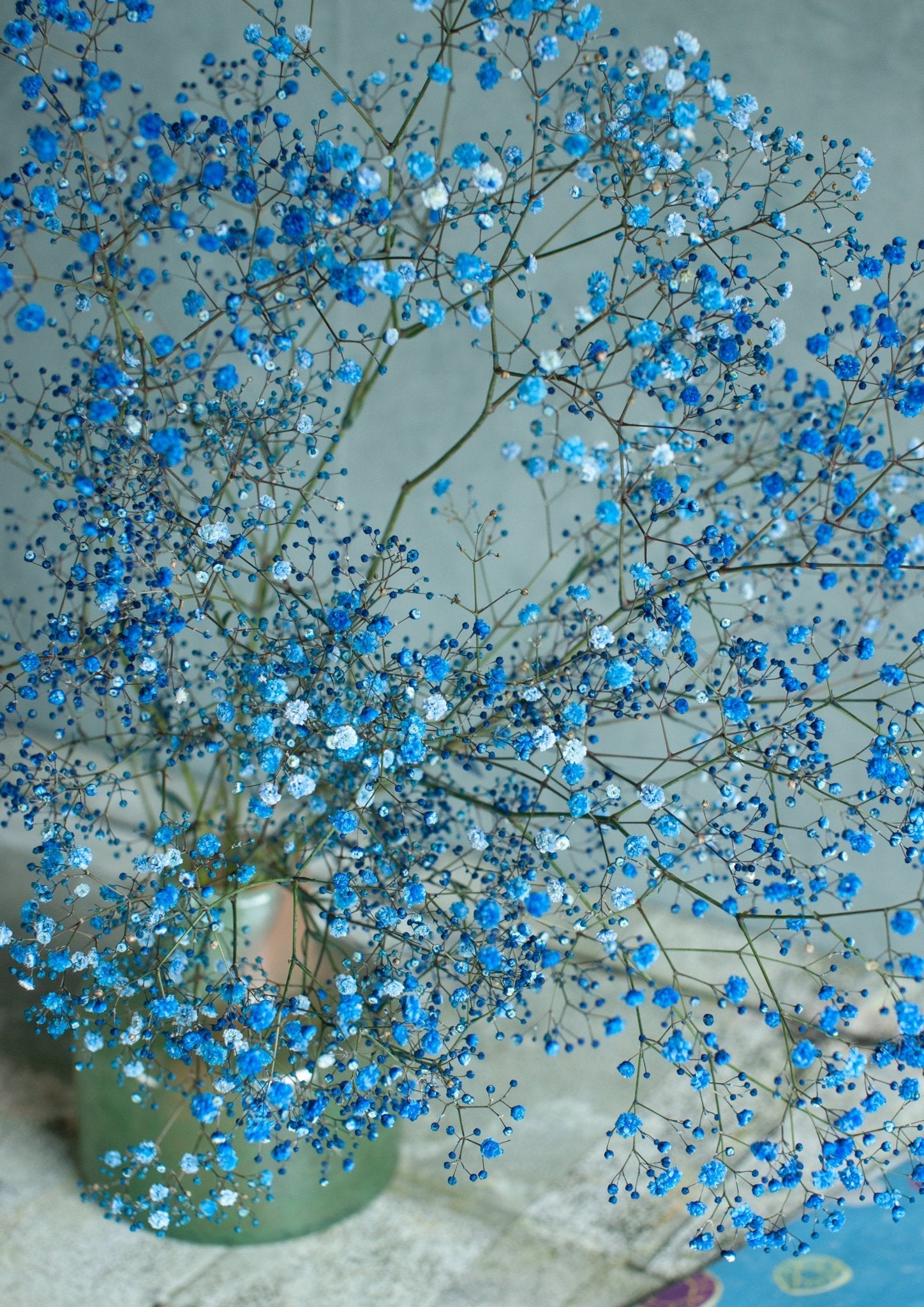 季節の花50～60cm 「カスミソウ染 ブルー」5本 – &YOUKAEN (アンドユー