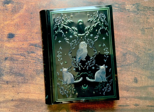 売切必至】魔法使いになった気分♪カルディの「魔法辞書クッキー