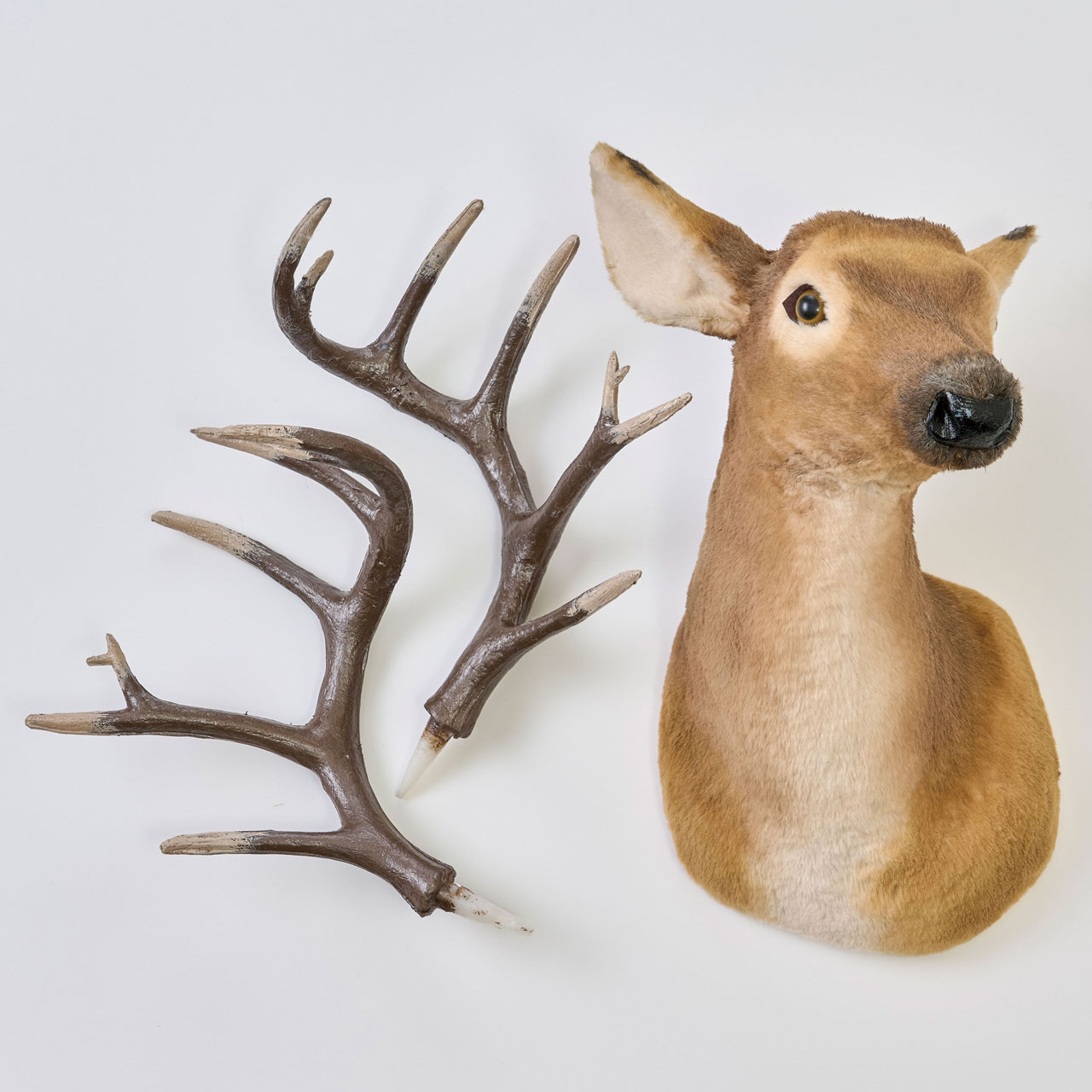 壁掛けトナカイ ヘッド ディスプレイ