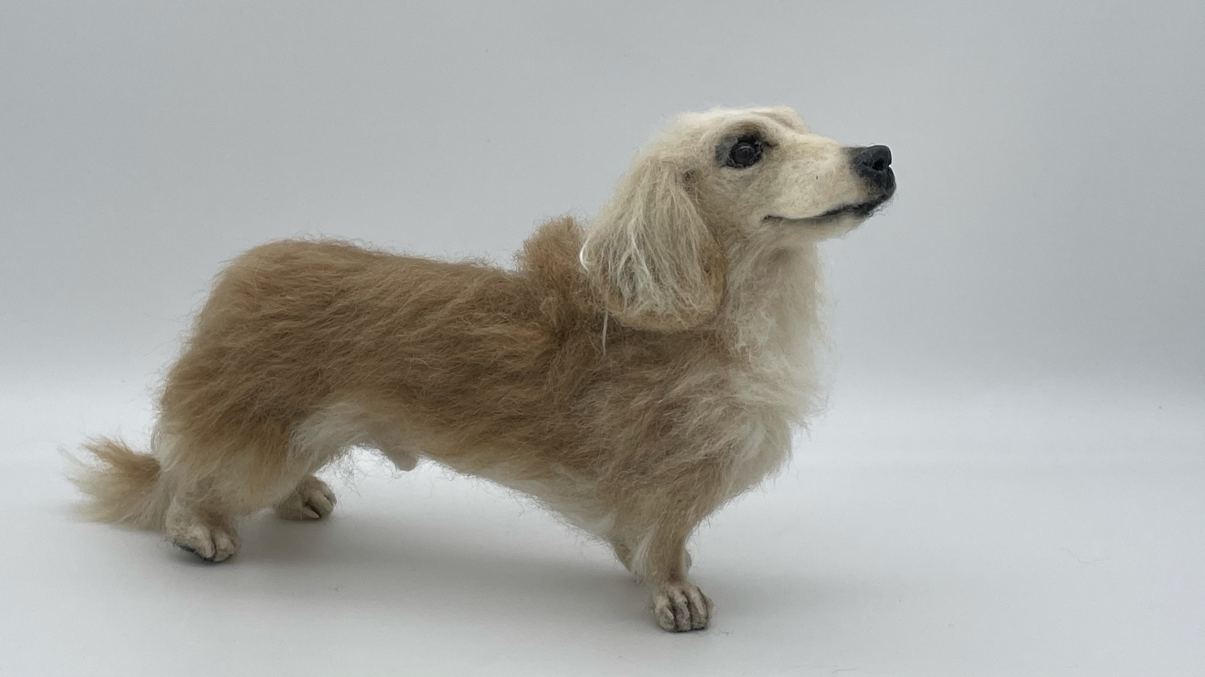 羊毛フェルトでクリームのカニンヘンダックスフンド犬を作りました