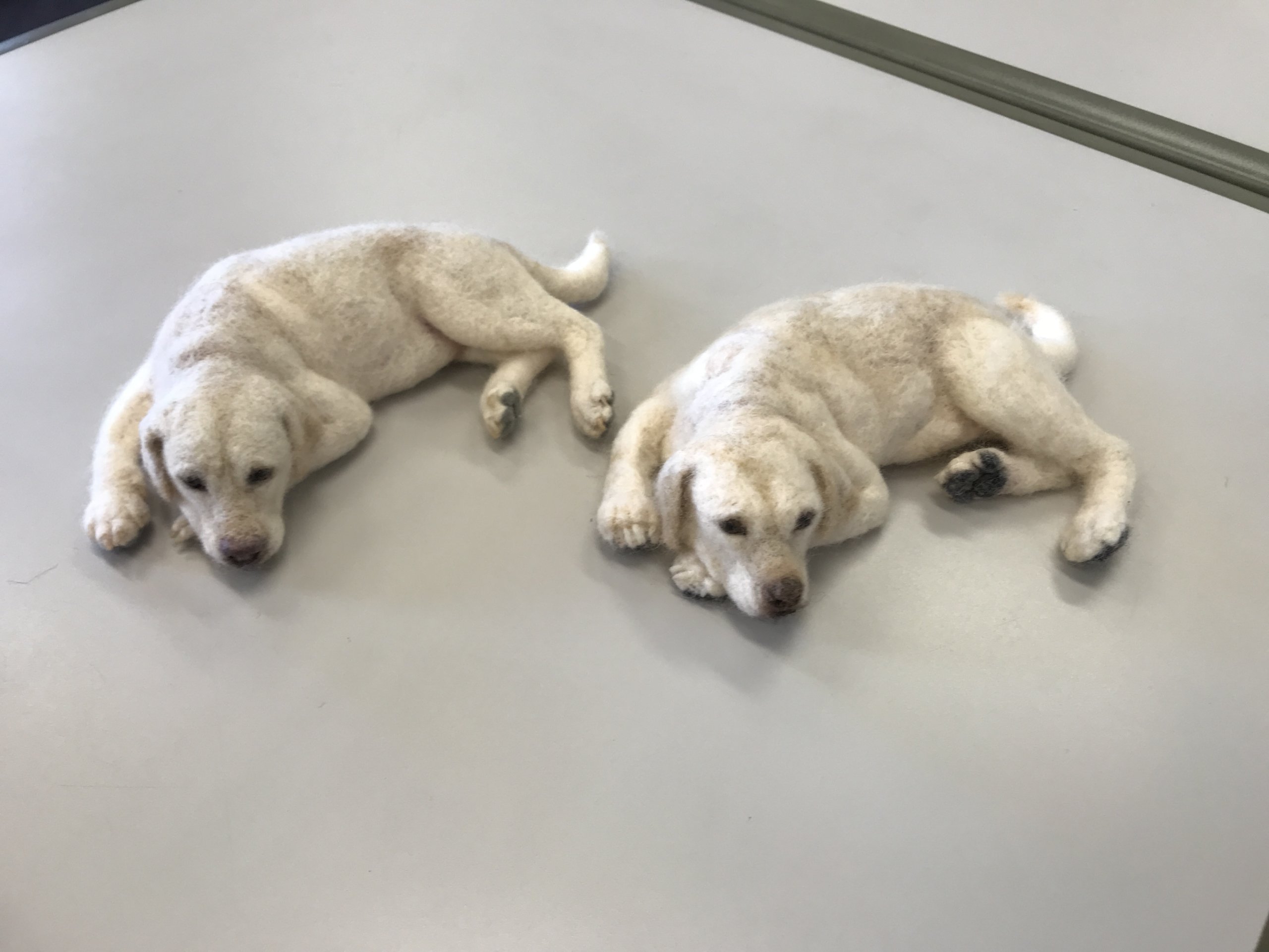 羊毛フェルトのラブラドールレトリバー。先生の作品を模倣しました