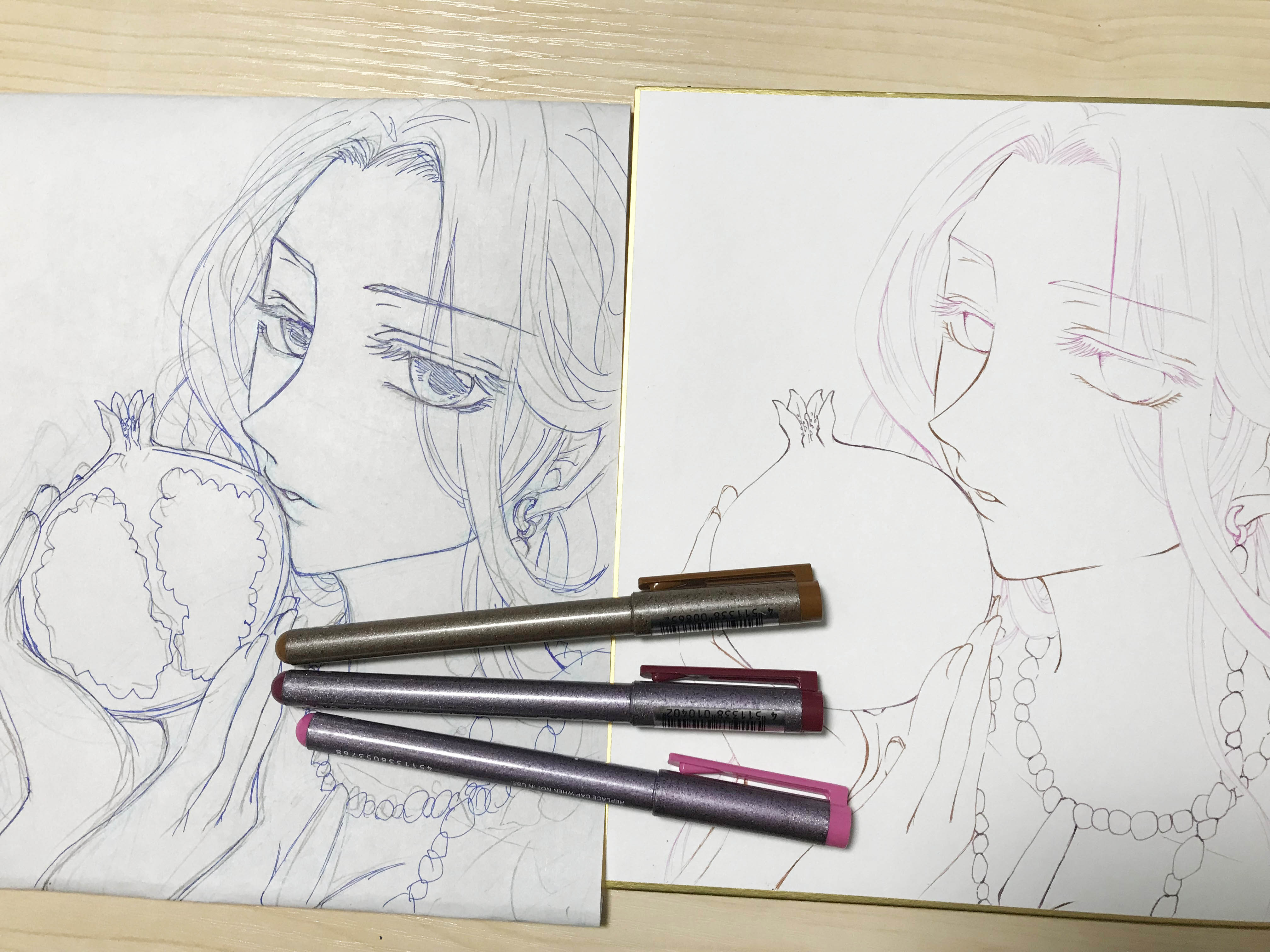 コピックメイキング】色紙 オリジナルイラスト「柘榴-ザクロ-」 | Web