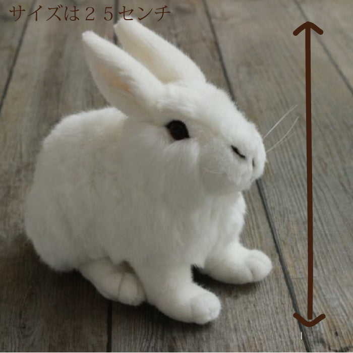 しろいうさぎ ケーセン社（ドイツ） – 木のおもちゃ専門店ゆうぼ