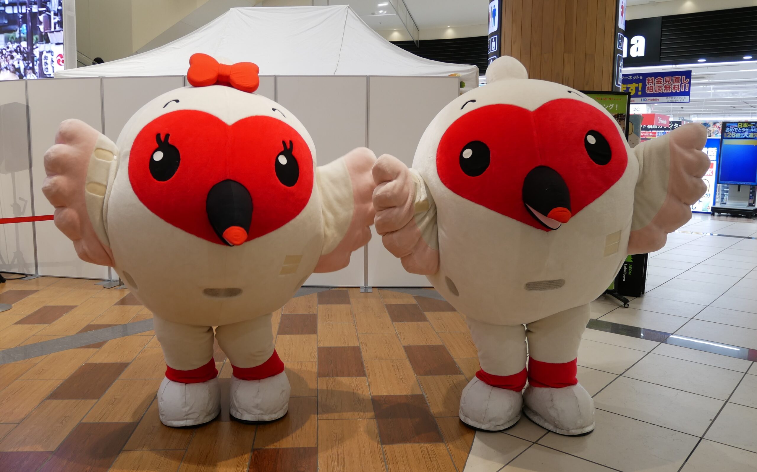 トッキッキ」等の新潟県ゆるキャラ写真集 その8｜ゆるキャラ