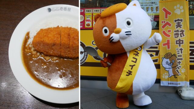 CoCo壱番屋(ココイチ)をPRするNeCo壱(ネコイチ)｜ゆるキャラ