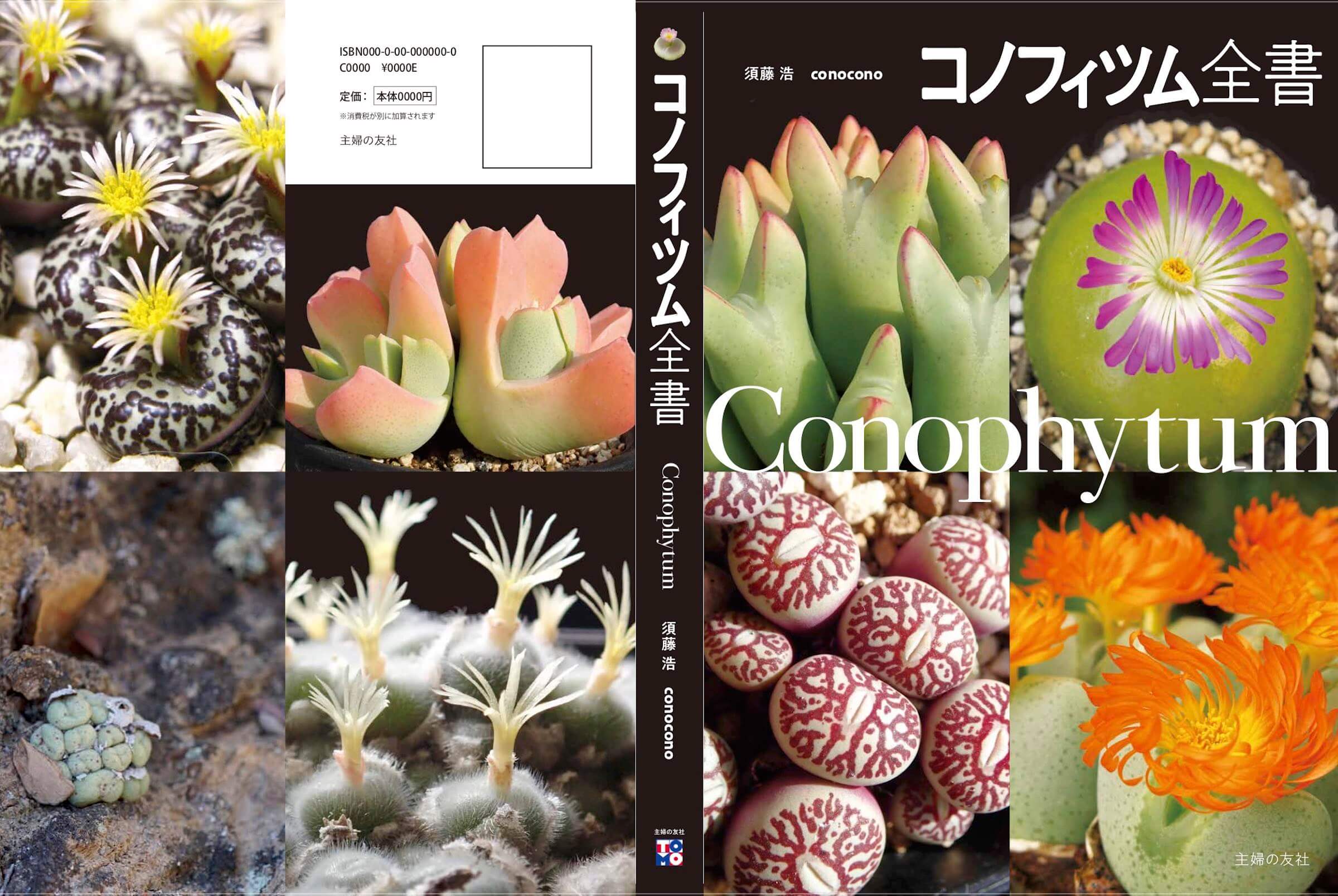 書籍]コノフィツム全書 2020/7/2発売 – ゆるぷ