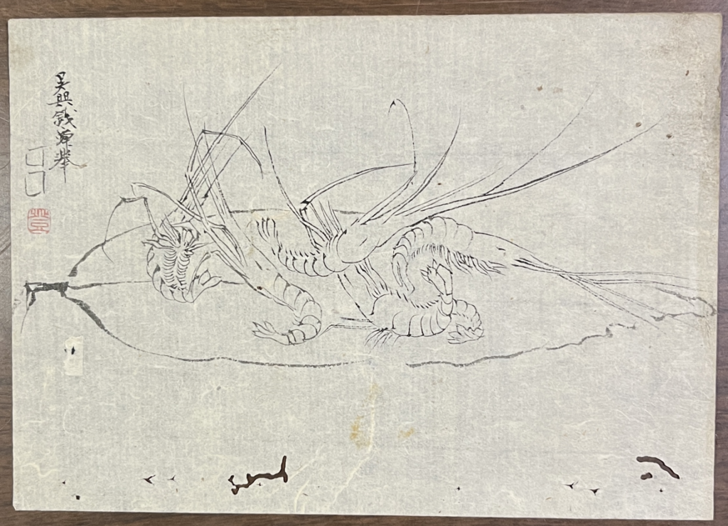 渡辺崋山 肉筆白描画「海老図」 ｜有秋小春